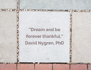 Dream Plaza Stone