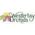 Westerlay Orchids