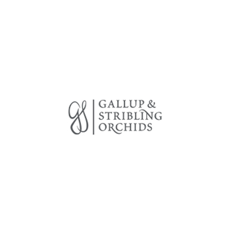 Gallup & Stribling Orchids