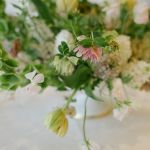 lenabrittphotography.com-14