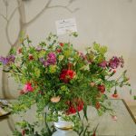 lenabrittphotography.com-312