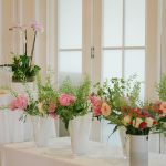 lenabrittphotography.com-415