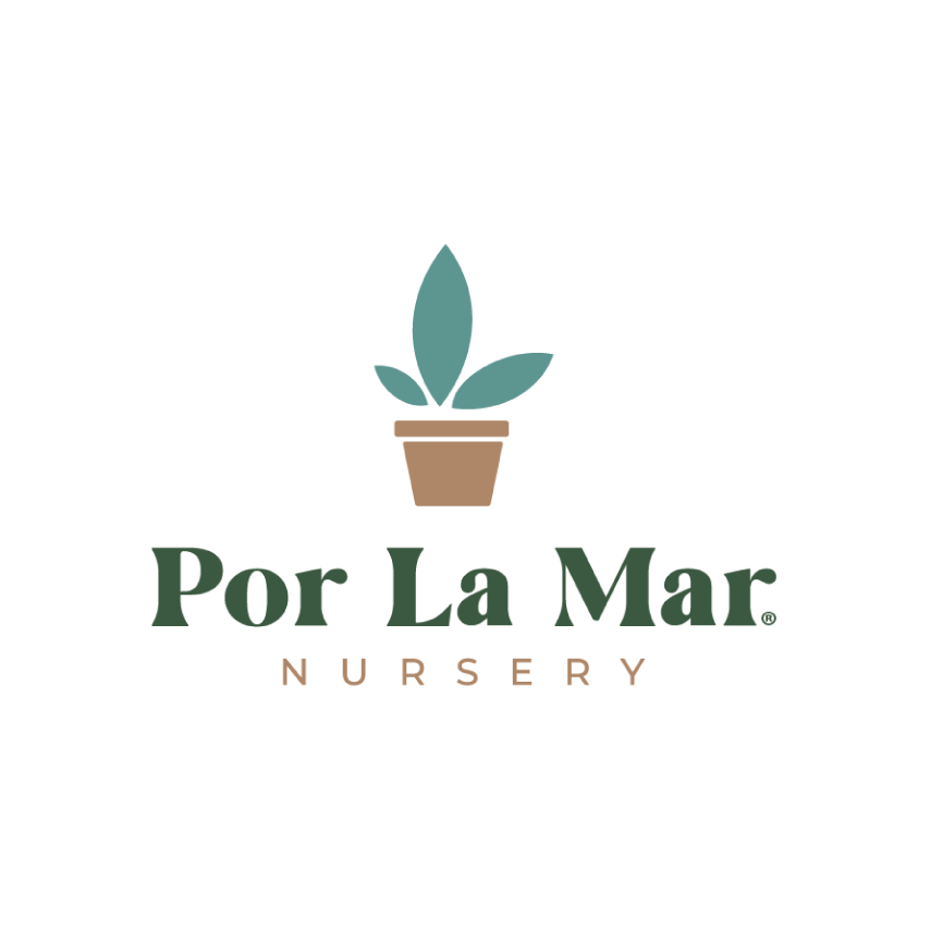Por La Mar Nursery