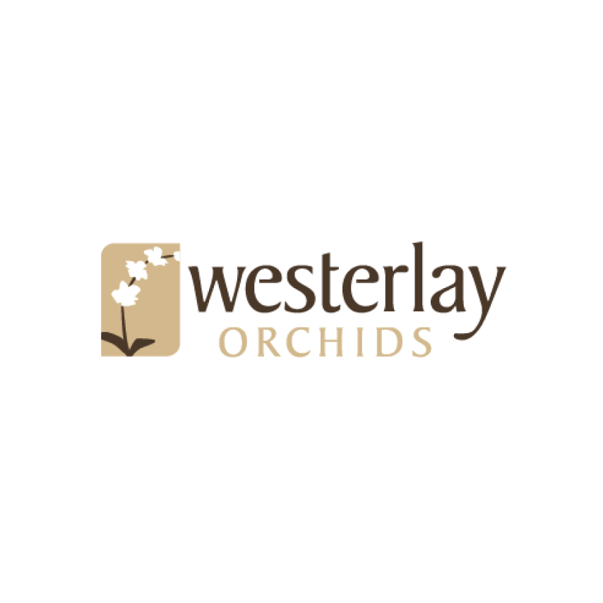 Westerlay Orchids