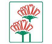 
 Maximum Flowers