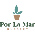 Por La Mar Nursery
