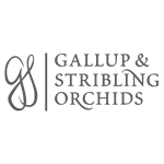 Gallup & Stribling Orchids