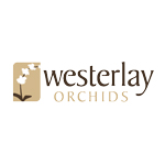 Westerlay Orchids